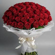 Букет 101 Красная роза Блэк Мэджик #REPLACE_PRED# Дубне Чеховского района