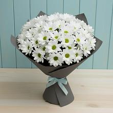 Букет цветов из:  Хризантемы #REPLACE_PRED# Дубне Чеховского района