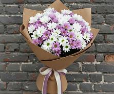 Букет цветов из:  Хризантемы в Дубне Чеховского района