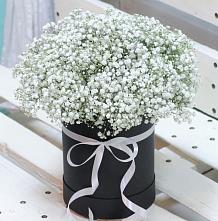 Цветочная композиция из Гипсофила в шляпной коробке #REPLACE_PRED# Дубне Чеховского района