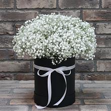 Цветочная композиция из Гипсофила в шляпной коробке в Дубне Чеховского района