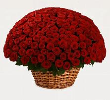 Премиум букет из: Розы в Дубне Чеховского района