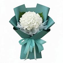 Букет цветов из:  Гортензия в Дубне Чеховского района